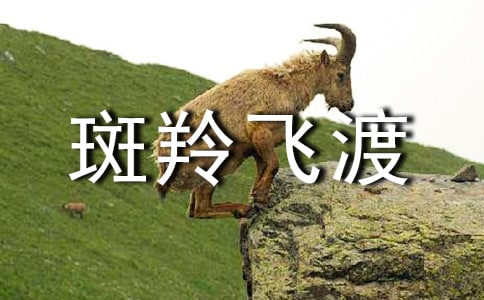 《斑羚飛渡》讀書心得