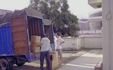 觀察日記螞蟻搬家