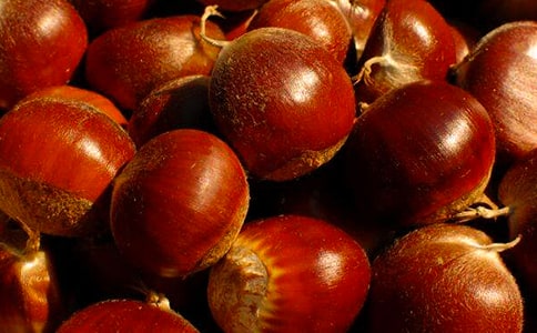 板栗的藥用價(jià)值有哪些