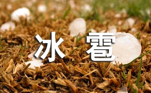 冰雹天氣防范應(yīng)急預(yù)案最新