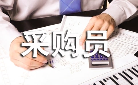 采購員個人工作總結范文