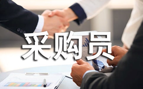 采購(gòu)員年度個(gè)人工作總結(jié)范文