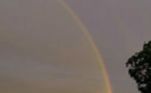 彩虹的正能量經(jīng)典句子