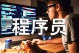 程序員自我鑒定