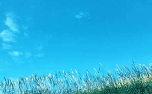 春風(fēng)行動工作總結(jié)