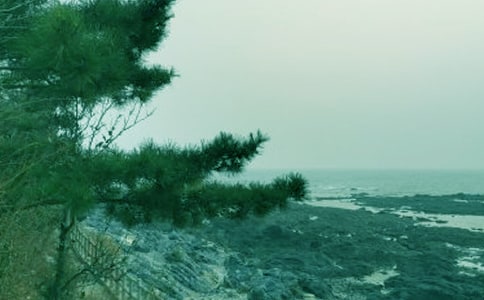 河圖春風(fēng)一顧歌詞賞析