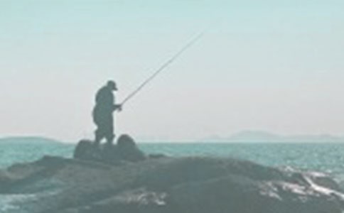 有關(guān)體驗釣魚作文3篇