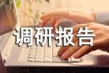 共青團(tuán)調(diào)研報(bào)告