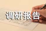 調(diào)研報告的結(jié)構(gòu)