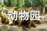 參觀動(dòng)物園觀后感(精選16篇)