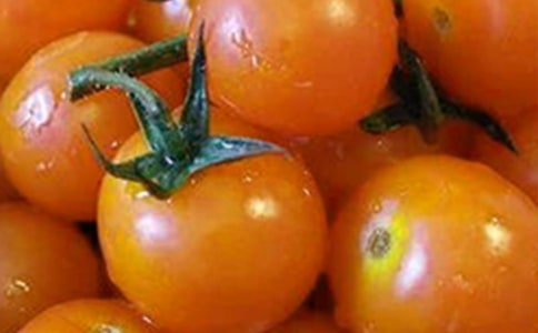 論番茄高產(chǎn)田間管理技術(shù)