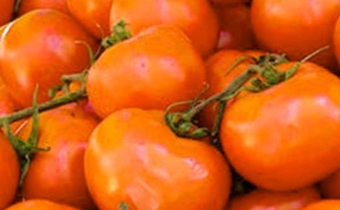 小番茄觀察日記300字(通用18篇)