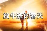 《放牛班的春天》觀后感范文550字
