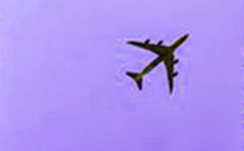 第一次坐飛機(jī)作文加評(píng)語(yǔ)