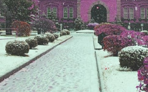 2021暴風雪安全的應急預案范文