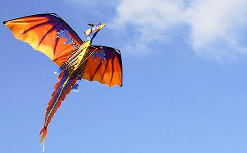 【熱門】關(guān)于放風(fēng)箏的作文