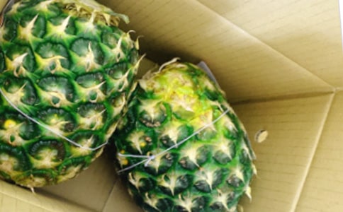 夏日冰飲之鳳梨凍飲