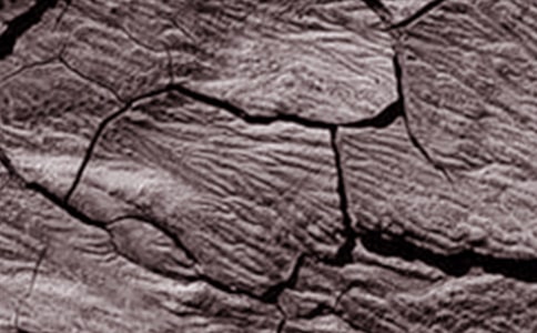 寧夏地區(qū)干旱形成原因及防治對策的研究