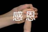 以感恩為主題的征文