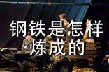 鋼鐵是怎樣煉成的讀書筆記2000字(通用11篇)
