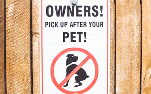 2017年雙鴨山市工業(yè)和信息化委員會選調(diào)公告