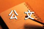 公文寫作的四個準(zhǔn)