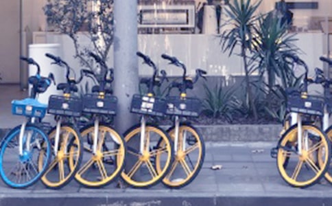 共享單車的利與弊英文作文(通用22篇)