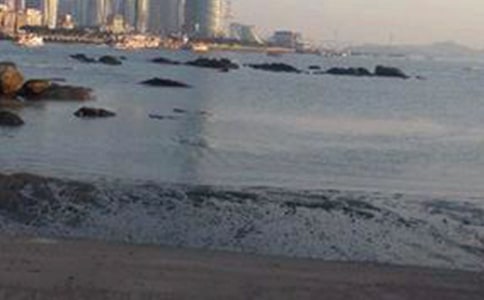 廈門鼓浪嶼導(dǎo)游詞7篇