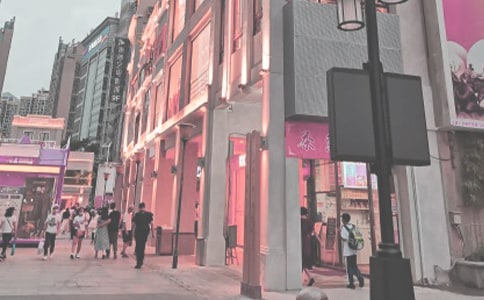 時(shí)代廣場的蟋蟀讀后感