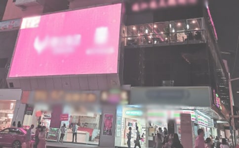 《時代廣場的蟋蟀》讀后感最新