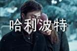 【通用】哈利波特讀書筆記