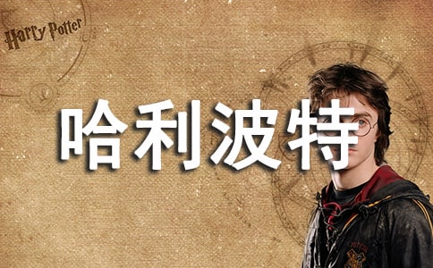 哈利波特與魔法石小學(xué)生的讀書筆記5篇