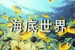 小學(xué)語文三年級下冊《海底世界》說課稿設(shè)計