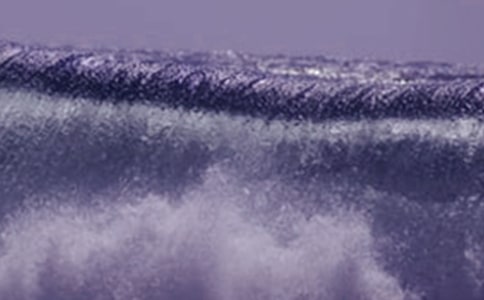 海嘯奇跡觀后感