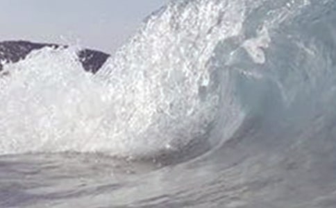 海嘯奇跡觀后感