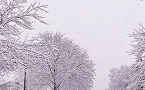 冬季防寒潮的應(yīng)急預(yù)案范文(通用6篇)