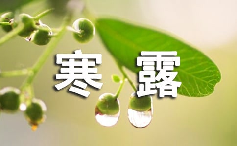 2023年寒露問(wèn)候語(yǔ)41句