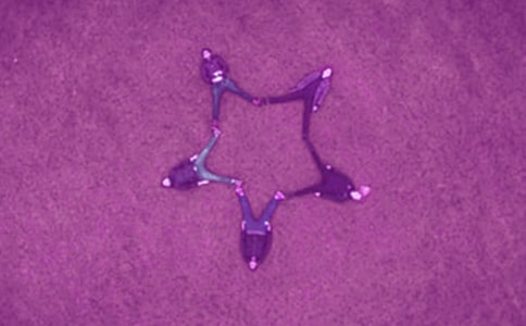 畢業(yè)好友留言