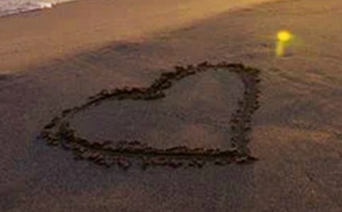 (精華)和平作文600字7篇