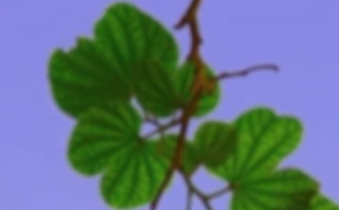 張岱年倫理思想與構(gòu)建和諧社會