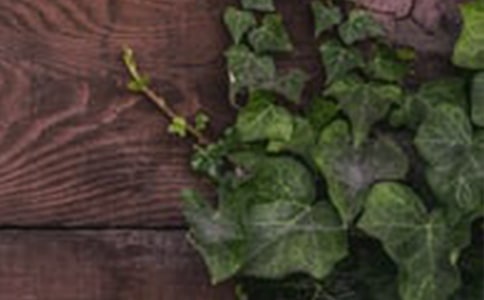 開(kāi)心和諧的幸福句子