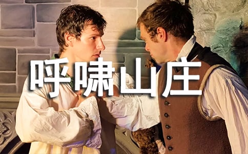 呼嘯山莊的讀書筆記3篇