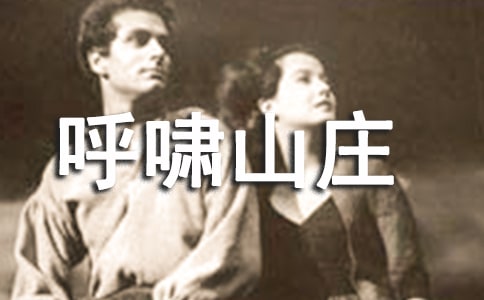 呼嘯山莊閱讀筆記