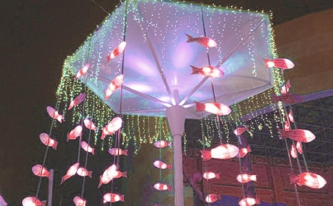 【推薦】看花燈日記4篇