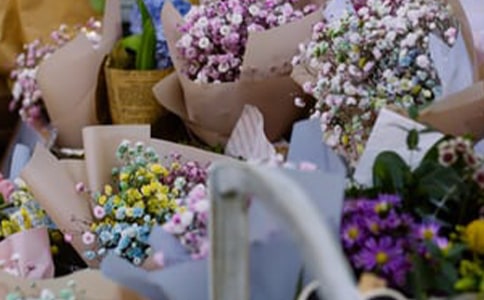 關(guān)于花店的室內(nèi)環(huán)境設(shè)計(jì)的探討