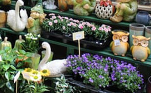 關(guān)于花店的唯美句子