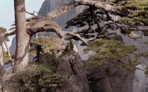 黃山奇石識(shí)字游戲