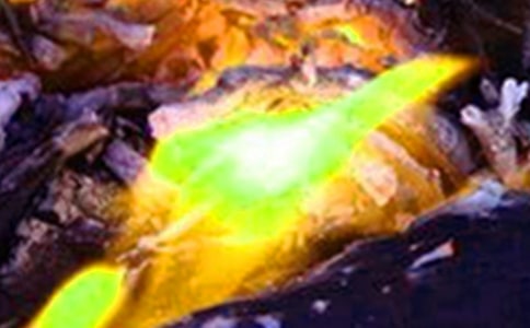 熱法磷酸工藝過程火災(zāi)爆炸危險分析