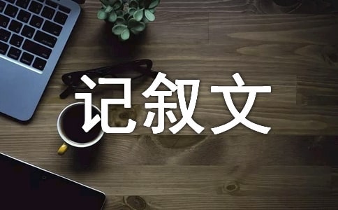 記敘文《讀西游記》后感》