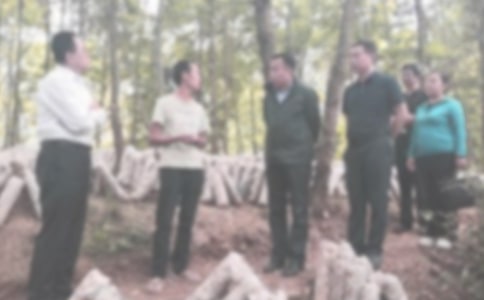 紀檢委員個人工作總結(jié)范文